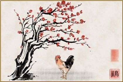 天下为家打一生肖指打代表最佳生肖,释义成语精选解释
